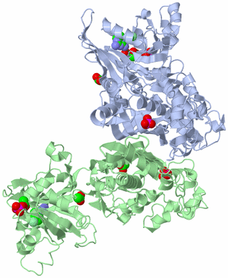 Image Biological Unit 1