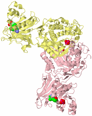 Image Biological Unit 2