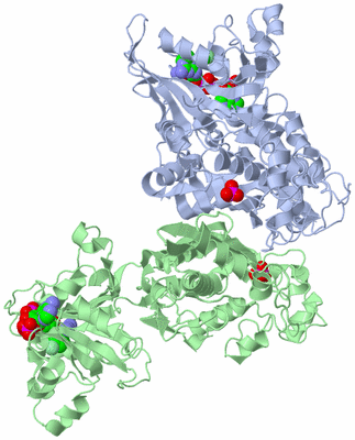 Image Biological Unit 1