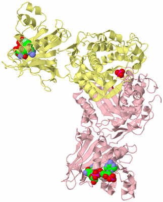 Image Biological Unit 2