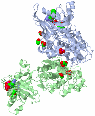 Image Biological Unit 1