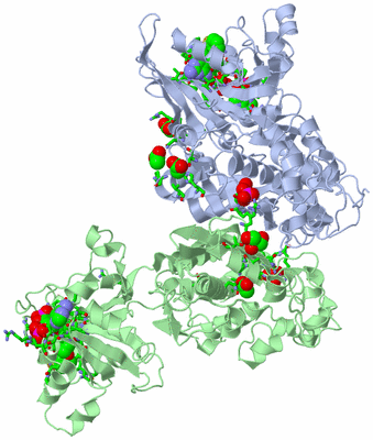 Image Biol. Unit 1 - sites