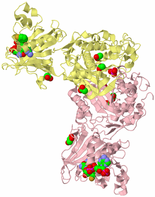 Image Biological Unit 2