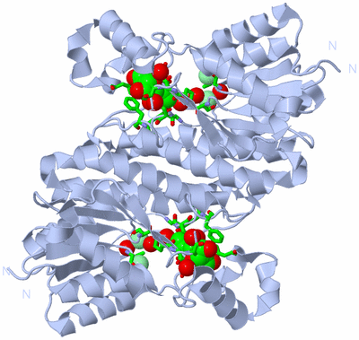 Image Biol. Unit 1 - sites