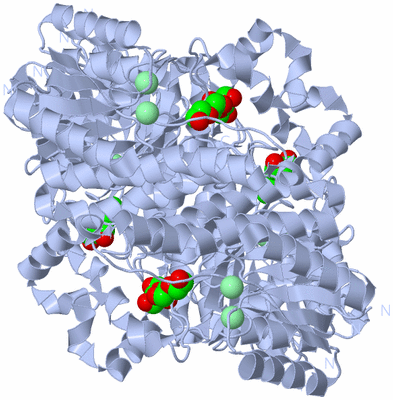 Image Biological Unit 2