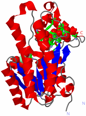 Image Asym. Unit - sites