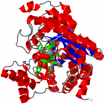 Image Asym./Biol. Unit - sites