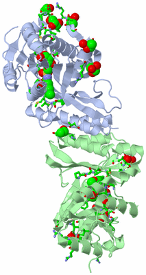 Image Biol. Unit 1 - sites