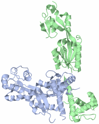 Image Asymmetric Unit