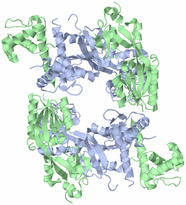 Image Biological Unit 1