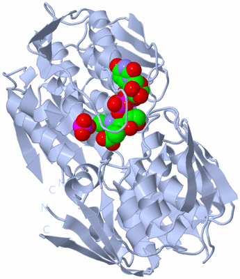 Image Biological Unit 1