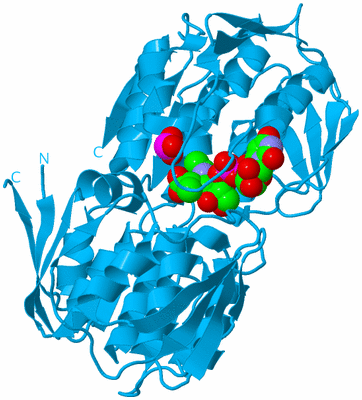 Image Biological Unit 10