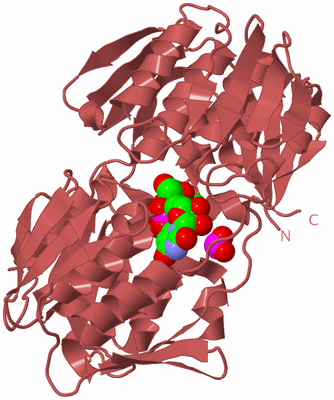 Image Biological Unit 11