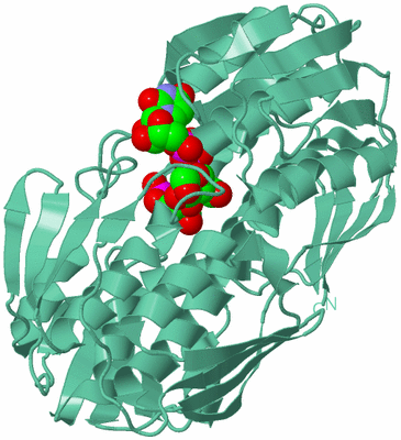 Image Biological Unit 12