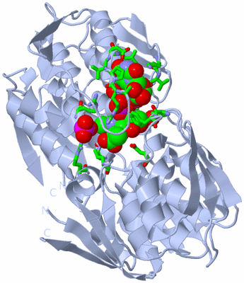 Image Biol. Unit 1 - sites