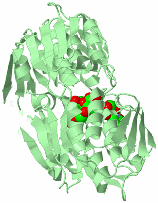 Image Biological Unit 2