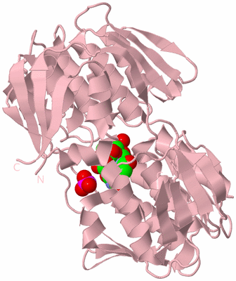 Image Biological Unit 3