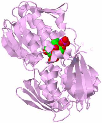 Image Biological Unit 5