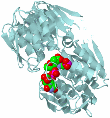 Image Biological Unit 6