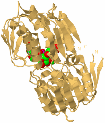 Image Biological Unit 7