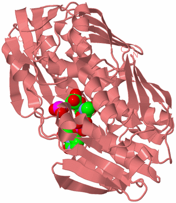 Image Biological Unit 8