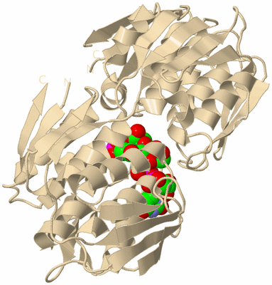 Image Biological Unit 9