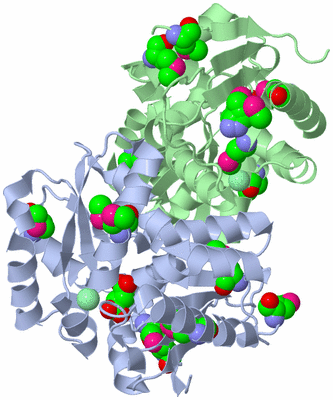 Image Biological Unit 1