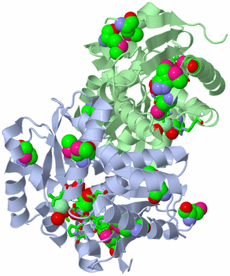 Image Biol. Unit 1 - sites