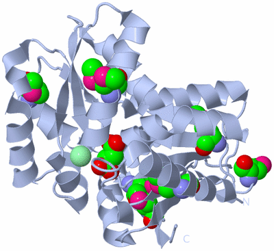 Image Biological Unit 2