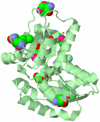 Image Biological Unit 3