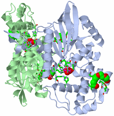 Image Asym./Biol. Unit - sites