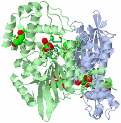 Image Asym./Biol. Unit - sites