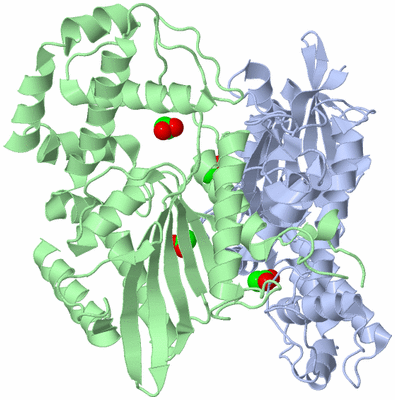 Image Asym./Biol. Unit