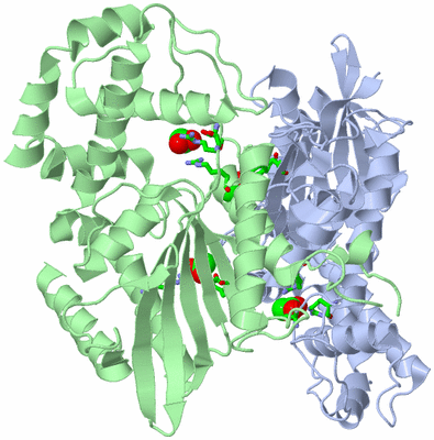 Image Asym./Biol. Unit - sites