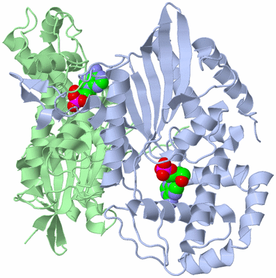 Image Asym./Biol. Unit