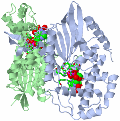 Image Asym./Biol. Unit - sites