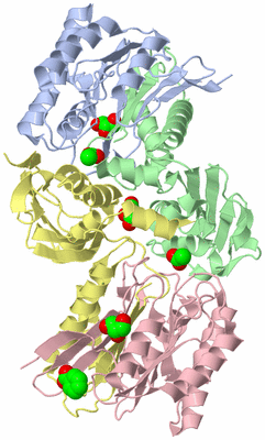 Image Asym./Biol. Unit