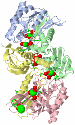 Image Asym./Biol. Unit - sites