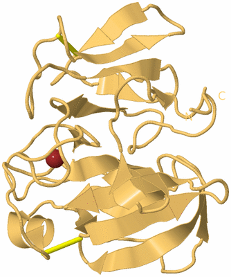 Image Biological Unit 4