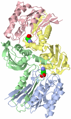 Image Asym./Biol. Unit