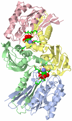 Image Asym./Biol. Unit - sites