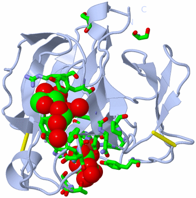 Image Biol. Unit 1 - sites