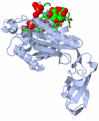 Image Biol. Unit 1 - sites