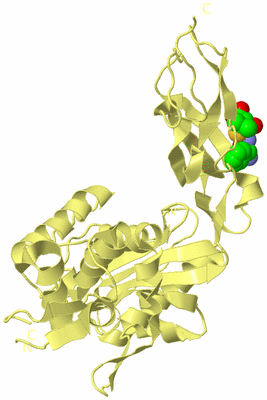 Image Biological Unit 4