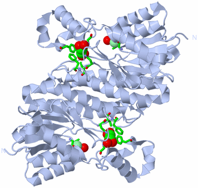 Image Biol. Unit 1 - sites