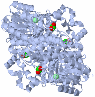 Image Biological Unit 2