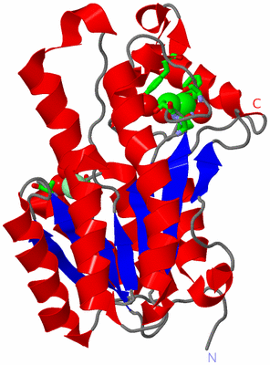 Image Asym. Unit - sites