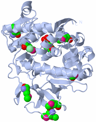 Image Biological Unit 1