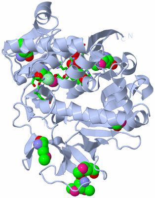 Image Biol. Unit 1 - sites