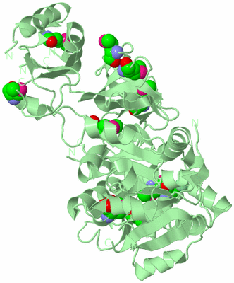 Image Biological Unit 2